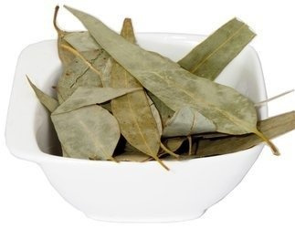 Eukaliptus liść Dukatki