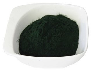 Chlorella proszek Dukatki