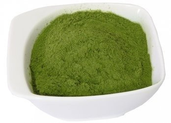 Młody jęczmień Dukatki