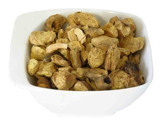 Rdestowiec Japoński korzeń cięty Dukatki