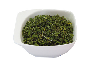 Prawoślaz liść cięty Dukatki