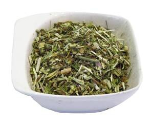 Cykoria podróżnik ziele cięte Dukatki