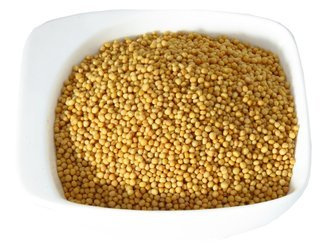 Gorczyca biała ziarno Dukatki