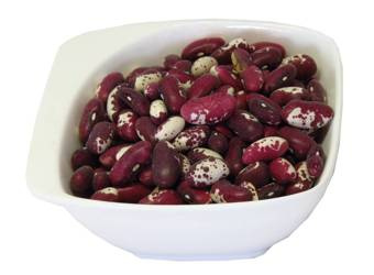 Fasola kolorowa Orzeł Dukatki