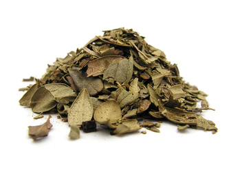 Borówka brusznica liść cięty Dukatki