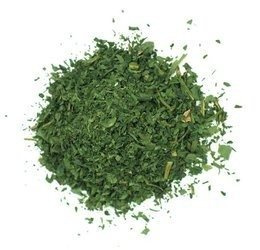 Czosnek niedźwiedzi Vivio