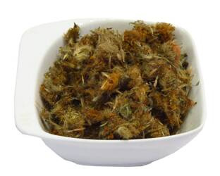 Arnika meksykańska  Dukatki